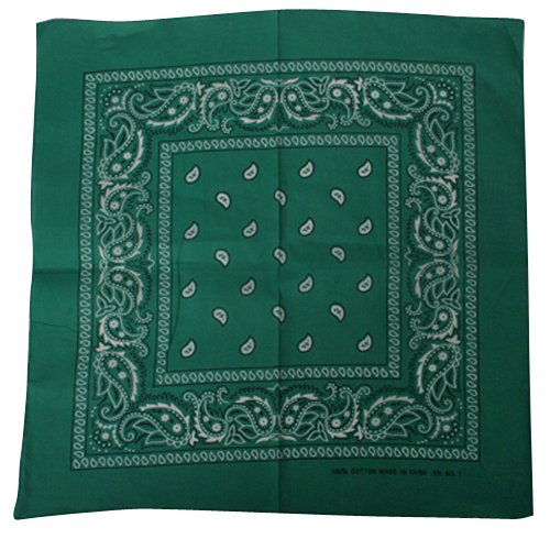 Bandana / Teal Paisley W12S20B