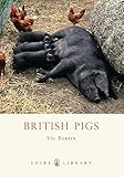 British pigs