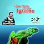 How To's For Your Iguana