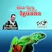 How To's For Your Iguana