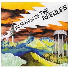 In Search of the Needles