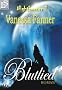 Blutlied - Ein Vampir-Roman (Nighthunter 1)