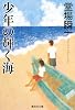 少年の輝く海 (集英社文庫)