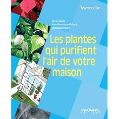 Les plantes qui purifient l'air de votre maison
