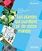Les plantes qui purifient l'air de votre maison