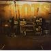 Roots Rock Riot