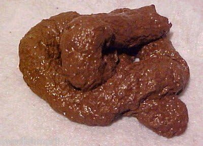 The Most realistic Looking Fake Dog Poop Dirt Doggie Doo Pile Crap & Fart Spray!