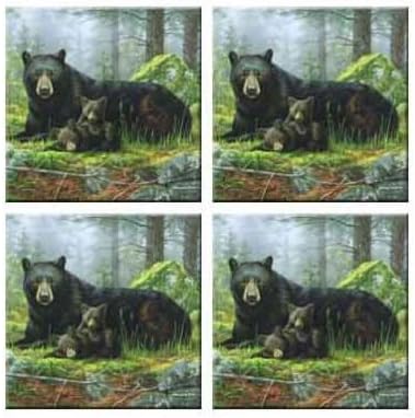 Tuftop McGowan Black Bears Coasters (Set of 4), Multicolored