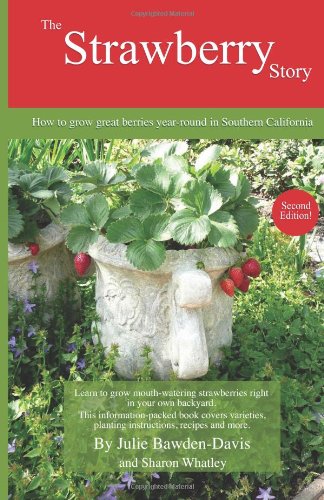 the strawberry story how to grow great berries year round in southern california