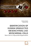 IDENTIFICATION OF HUMAN UNSELECTED MESENCHYMAL-LIKE MYOCARDIAL CELLS: Stem Cells for Myocardial Regeneration