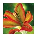 Emmie 1003 Original Hand-Painted Oil on Canvas by Carl Sebastian- 32x32"