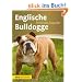Englische Bulldogge