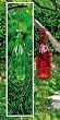 2 Assorted Wine Bottle Lanterns with Wind chime
