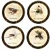 Fishing Flies Absorbent Coasters