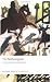 The Mabinogion