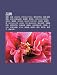P N P I: Hu F Ng, T y , Bravia, Product Red, M Ng Yu Xu N N Sh -L y W I D Ng J Tu N, Qu N Qi 100zu Ji P N P I, W N Sh F , Sh Ch