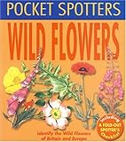 Wild flowers