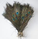 100 Pcs Peacock Feathers 10"-12"