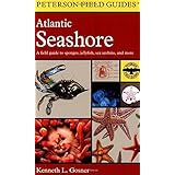 a field guide to the atlantic seashore from the bay of fundy to cape hatteras peterson field guides