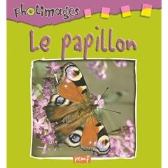 Le papillon