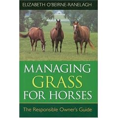 Managing Grass for Horses: The Responsible Owner's Guide