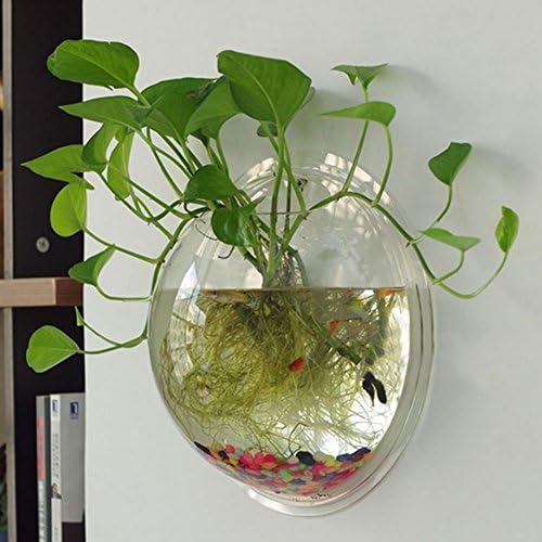 New Creative Acrylic Hanging Wall Mount Fish Tank Bowl Vase Aquarium Plant Pot Bowl Bubble Aquarium Decor