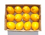 Artificial Lemon - 90mm