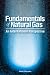 Fundamentals of Natural Gas: An International Perspective Fundamentals of Natural Gas: An International Perspective