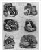 Historic Print (L): [Six vignettes contrasting social classes] / Ch. Fenderich del.
