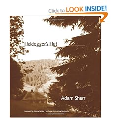 Heidegger's Hut