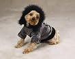 SILVER - SMALL - K9 Tahoe Jacket