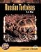 Russian Tortoises (Complete Herp Care)