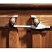 KidCo Sliding Cabinet Lock - 6 Pack