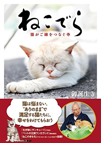 ねこでら 猫がご縁をつなぐ寺