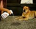 Permanent Pet Odor Eliminator Spray - Best for Cat & Dog Urine Carpet Stains - Safe Enzyme Formula - Miracle Cleaner to Eliminate Stains & Smells - Natures Neutralizer At the Molecular Level(1 gallon)