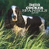 English Cocker Spaniels 2009 Wall Calendar 12 X 12