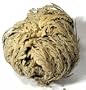 Jericho Flowers (6 flowers) Bulk Herbs