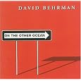 On the Other Ocean by David Behrman, Arthur Stidfole, David Gibson, Maggi Payne