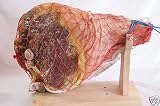 Jambon cru sec fait région PARME 9 mois sans os ITALIE