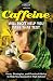 Caffeine Will Not Help You Pass That Test: Facts, Strategies, and Practical Advice to Help You Succeed in High School
