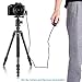 Neewer Shutter Release Remote Control RS-60E3 Replacement for Canon EOS 650D/600D/550D/500D/1000D/450D/400D/350D/300D/100D/700D (Rebel T4i,Rebel, Rebel XT, Rebel XTi, Rebel XSi, Rebel XS, Rebel T1i, Rebel T2i, Rebel T3i),Samsung GX-20/GX-10/GX-1L GX-1S,Pentax K20D/K200D/K10D/K100D Super/K100D/K110D/ *ist Ds2 / *ist D / *ist Ds / *ist / *ist DL