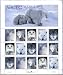 1999 ARCTIC ANIMALS #3292a Pane of 15 x 33 cents US Postage Stamps