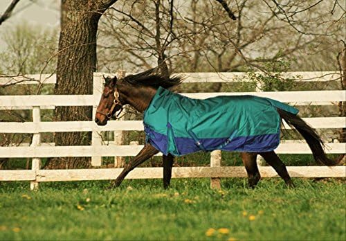 TURNOUT 1680D HORSE WINTER WATERPROOF - HORSE BLANKET 005 - Size from 69" to 83" (75")