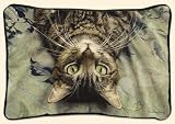 Perculiar Perspective Sueellen Ross Cat Decorative Throw Pillow