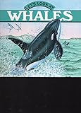 Let's look at whales