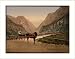 Norwegian carriage Hardanger Fjord Norway, c. 1890s, (S) Library Image