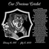 12 x 12 Lazer Gifts Personalized The Last Battle Pet Memorial Marker Style Cricket