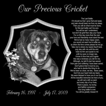 12 x 12 Lazer Gifts Personalized The Last Battle Pet Memorial Marker Style Cricket