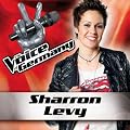 Somebody That I Used To Know (from The Voice of Germany)