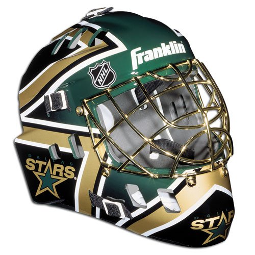 Dallas Stars Full Size NHL Goaltenders Mask